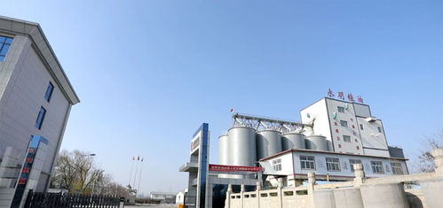 山東永明糧油擬在魯西南建設大型多功能面粉廠，助力區(qū)域農業(yè)經濟高質量發(fā)展